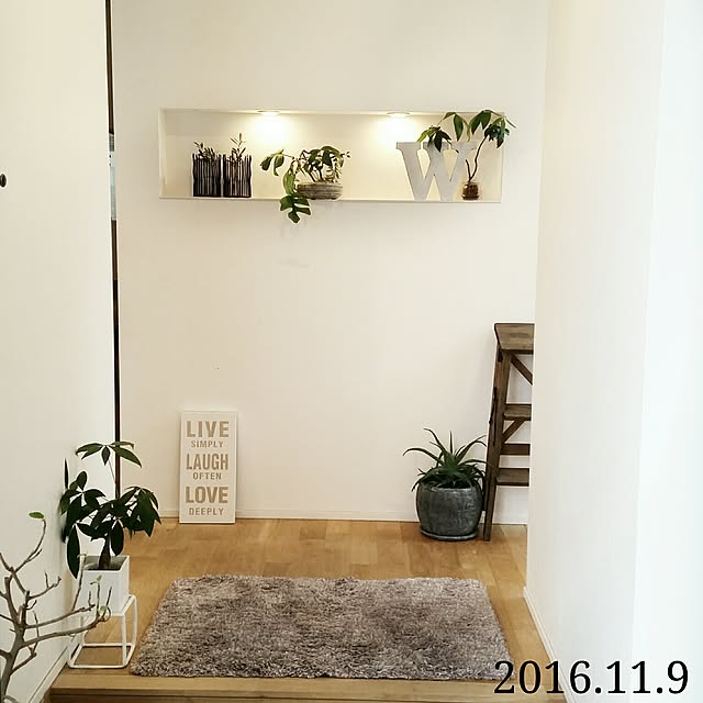 Entrance,グリーンのある暮らし,観葉植物,ニッチ,IKEA,アロエ,パキラ,姫モンステラ,玄関マット,ナチュラルインテリア,slowLifeに憧れ,子供と暮らしています。,安くて丈夫 chieの部屋