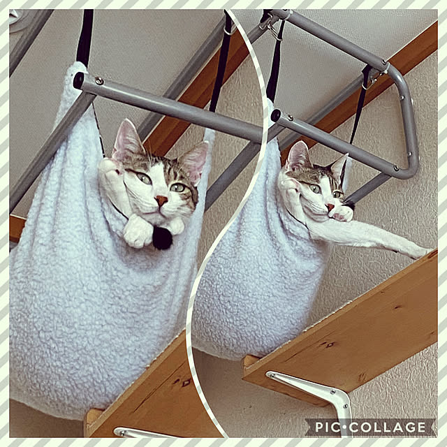 リマリマ樣専用　猫座布団猫のハンモックハンドメイド