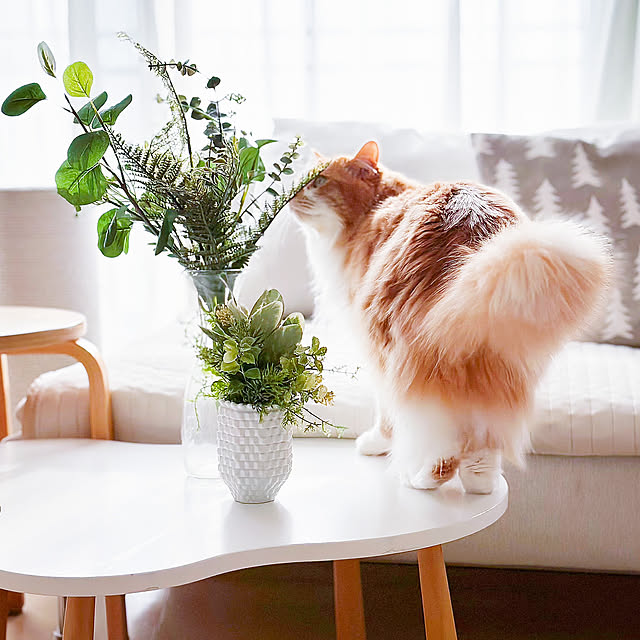 花瓶,IKEAフェイクグリーン,スミッカ,猫とインテリア,北欧,北欧MIX,マンション,IKEA,ナチュラルモノトーン,モノトーンインテリア,ねこと暮らす,ソファ,クッション,リビング,ソーデルハムン,フェイクグリーン,爪研ぎポール,ソファテーブル,Lounge Reikoの部屋