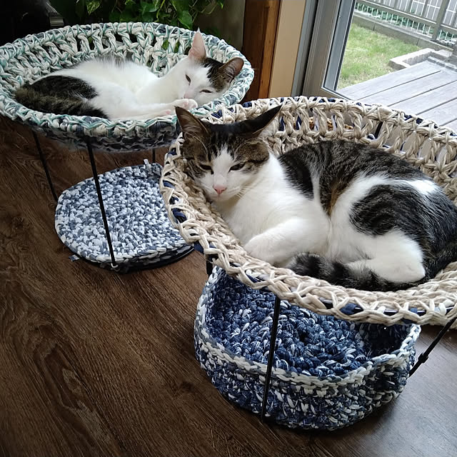 Lounge,窓と猫の物語2021withYKKAP,にゃんもっく,猫ハンモック,ハンモック,ねこのいる日常,ねこと暮らす,ねこインテリア,ハンドメイド,Tシャツヤーン,ダイソー mikisunの部屋