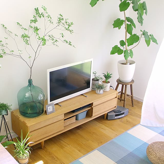 Lounge,観葉植物,ウンベラータ,ドウダンツツジ,オリヅルラン,ニトリ,竹ラグ,テレビボード,デミジョンガラスボトル,夏仕様,BOSE TOMの部屋