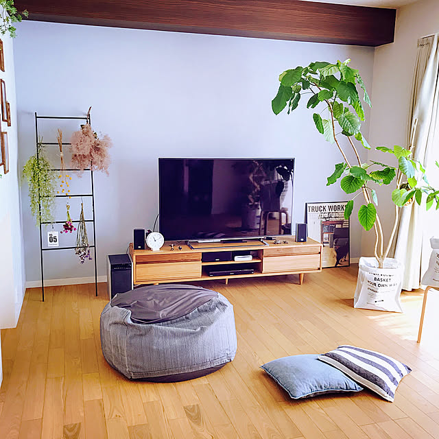 Lounge,ドライフラワー,ひなたライフ,しゃれとんしゃあ会,壁紙屋本舗,RC九州支部,植物のある暮らし,体にフィットするソファ,観葉植物,人をダメにするソファ,無印良品,ラダー,TRUCK tokoの部屋