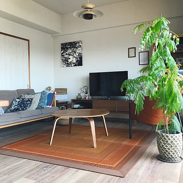 Lounge,イケヒコい草ラグ,い草ラグ,賃貸マンション,レトロ,北欧テイスト,ラグ,フロアタイル,marimekko,観葉植物,IKEA,イケヒコ yurikissaの部屋