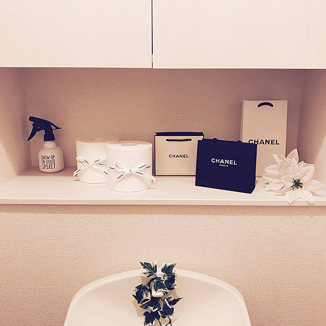 Bathroom,グリーン,モノトーン,石鹸入れ,石鹸,ディスプレイ,ホワイトインテリア,シンプリスト,CHANEL,芳香剤,リボン,d-room,ショップ袋,雑貨,100均,ニッチ,ホワイトが好き Ru-chiyの部屋