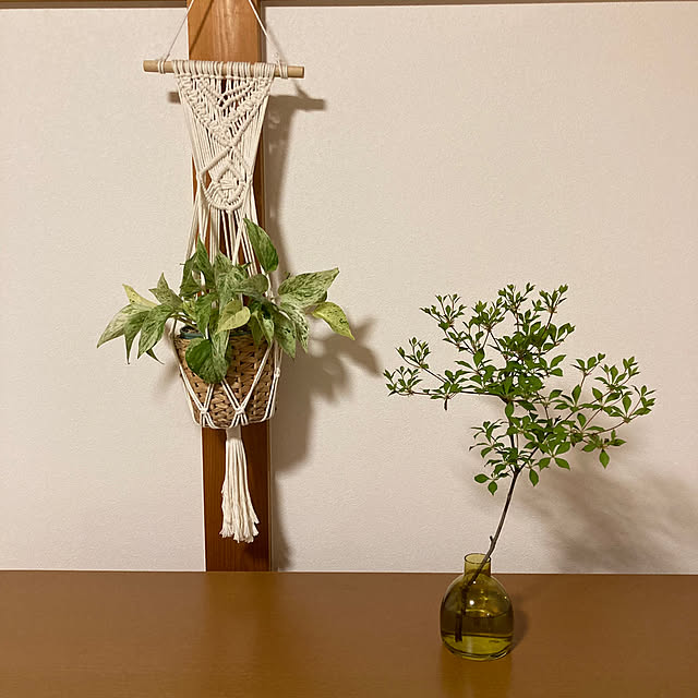On Walls,古い家,暮らしを楽しむ,季節を楽しむ,緑のある暮らし,おうち時間,フラワーベース,和室,観葉植物 mamaの部屋