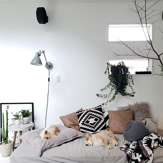犬との暮らしをより豊かに♡快適な空間づくりのアイデア集 | RoomClip