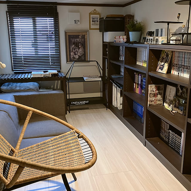 Overview,漫画喫茶,オタク部屋,読書部屋,趣味部屋,本棚,小さなお部屋,リラックス空間,IKEA,ガチャガチャ,タナリオ RNAの部屋