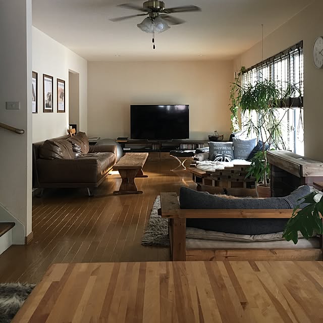 Overview,観葉植物,DIY,男前 tomowithdogの部屋