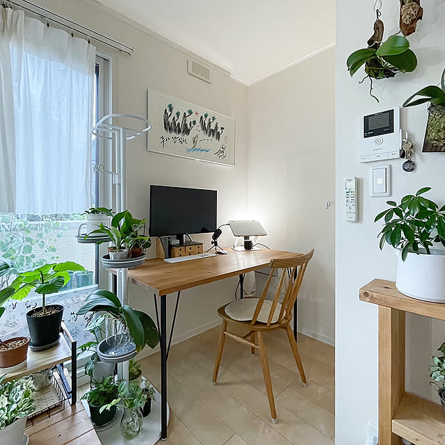 My Desk,アイアン素材,観葉植物,一人暮らし,1K,ひとり暮らし,グリーンのある暮らし,みどりのある暮らし,観葉植物のある暮らし,一人暮らしインテリア,7畳 ひとり暮らし,おうち見直し前,モニター応募投稿 arinoの部屋