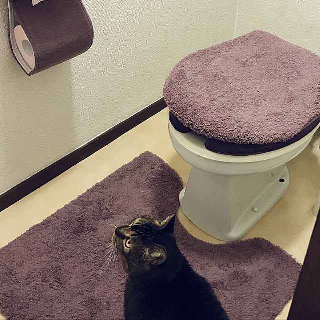 トイレマット,ねこのいる風景,くすみパープル,くすみカラー,一人暮らし,ねこのいる日常,ねこと共同生活。,Bathroom miru22miruの部屋