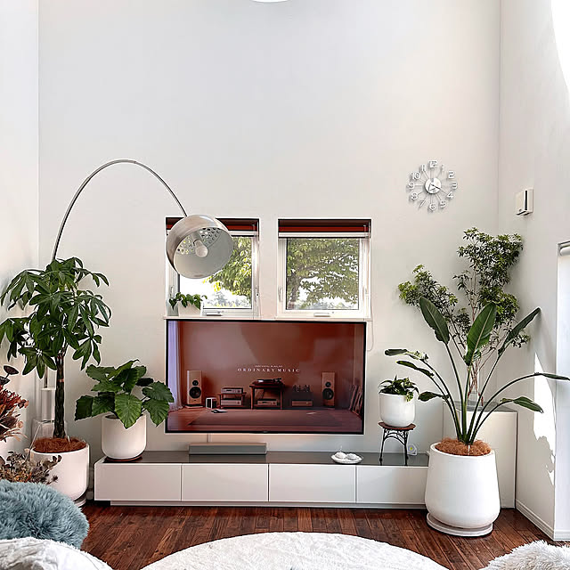 Lounge,観葉植物のある暮らし,観葉植物,模様替え,気分転換♪,テレビ周り,暮らしの投稿 hanahana1444の部屋