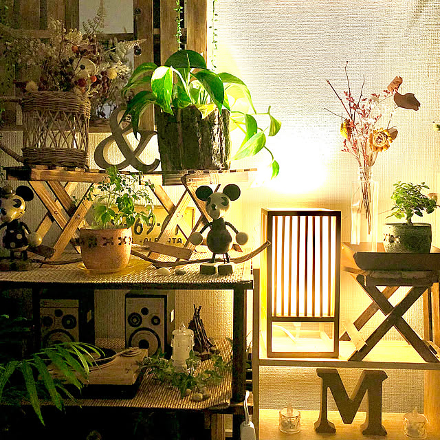 Bedroom,間接照明,観葉植物,ナチュラル,木製,グリーン,インテリア,一人暮らし,癒し,賃貸インテリア,ニトリ,ナチュラルインテリア,グリーンインテリア,グリーンのある暮らし,みどりのある暮らし M_Mの部屋