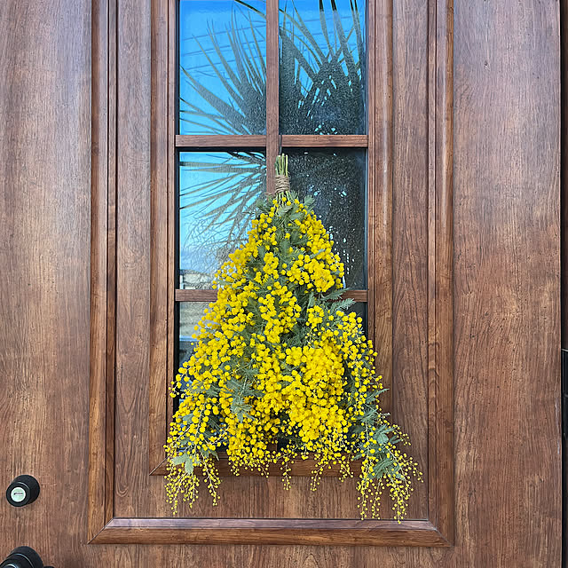 Entrance,玄関ドア LIXIL,玄関ドア,ミモザ,ミモザのスワッグ,花のある暮らし,季節を楽しむ暮らし,お花のある暮らし,植物のある暮らし,お花が好き,スワッグ,スワッグのある暮らし yoshibuの部屋