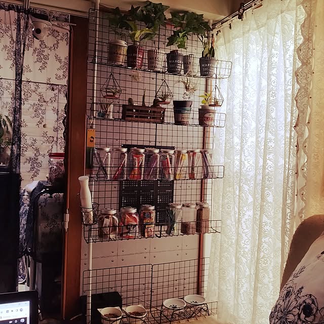 Lounge,団地,いつもいいねやコメありがとうございます♡,モノトーンインテリア,団地住まい,毎日の暮らしを楽しむ,フォロワー様700名様超!!感謝です♡,コメント嬉しいです♡ありがとう♡,好きな物に囲まれて暮らしたい♡,植物たち,ワイヤーネットDIY,ダイソー♡,サボテン,エアプランツ,猫チュール,ご飯コーナー,窓ぎわ,突っ張り棒で収納 runaの部屋