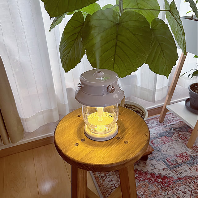 Toffy 加湿器,加湿器,いいね&フォローありがとうございます☆,くつろぎ空間,普通のおうち,北欧インテリア,狭小3階建,北欧ナチュラル,狭小住宅,心地よい暮らし,小さなお家,建売住宅,Lounge masumiの部屋
