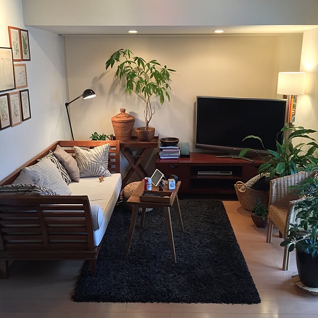 Lounge,シェフレラ,アンティーク,一人暮らし,ミックス＆リラックス,観葉植物,ソファー,ラタンチェア,間接照明,お散歩ゾウさん,ポスター,ボタニカルアート,クッション shinの部屋