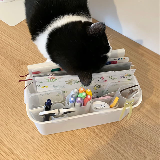 ねこ,セリア,組み合わせ,ねこのいる日常,猫と暮らす,無印良品,猫,ぽっち,My Desk bikkeの部屋