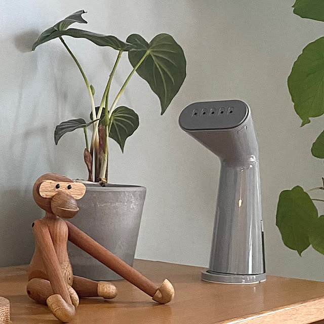 家事時短,My Shelf,スチームアイロン置き場,スチームアイロン,カイボンスンモンキー,ウンベラータ,グリーンのある暮らし,北欧,北欧インテリア,北欧ナチュラル,ブルーグレーのクロス,アクセントクロス,フェイクグリーン,ブルーグレーの壁 krkrの部屋