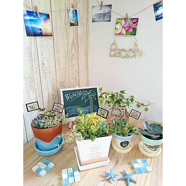My Desk,植物,多肉植物,WTW,ロンハーマン,西海岸,観葉植物,カリフォルニアスタイル,西海岸インテリア,ナチュラル,100均,セリア,パントン,PANTONE COLORS,カインズ,板壁風壁紙,ガーランド,黒板 pocoの部屋