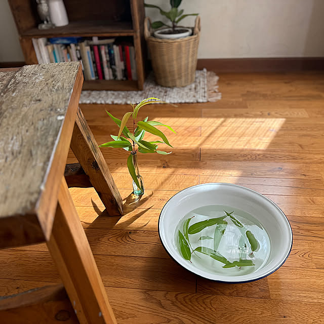 Lounge,酷暑対策,足水,ホーローボウル,ハッカ油,レモンユーカリ,わが家の夏のキロク,ナチュラルインテリア,ナチュラルカラー,グリーンのある暮らし,観葉植物のある暮らし,心地よい暮らし,自然素材が好き,ハンギンググリーン,季節を楽しむ暮らし,自然を感じる暮らし,ウッドデッキのある暮らし 67の部屋