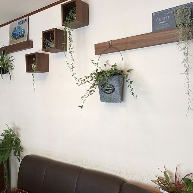 Lounge,観葉植物,無印良品,壁に付けられる家具 juriの部屋