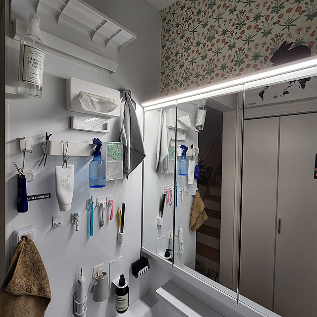Bathroom,マグネット収納,ウィリアム・モリス,モリス,セリア,100均,電動歯ブラシ,100均リメイク,歯ブラシスタンド,タカラスタンダード,エマウォール shimaaadsの部屋