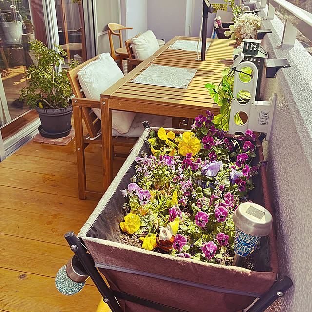 Overview,ベランダのお花,ベランダインテリア,ベランダDIY,ベランダガーデン,花のある暮らし,パンジー,プランター,観葉植物 akimamの部屋
