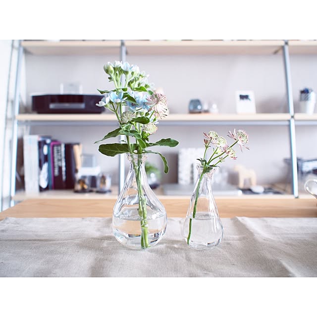My Desk,植物,IKEA 花瓶,IKEA,花瓶,北欧インテリア,北欧,マンション,ダイニング Reikoの部屋