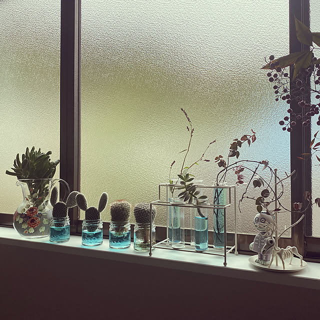 フラワーベース,花瓶,空瓶,ツル植物,南天,多肉植物,サボテン,植物コーナー,隠れミッキー,ナイトメアビフォアクリスマス,水栽培,植物のある暮らし,みなさんの素敵なインテリアに癒されてます,いいね&コメントうれしいです♡︎,My Shelf,隠れうさぎ？ uninekoの部屋