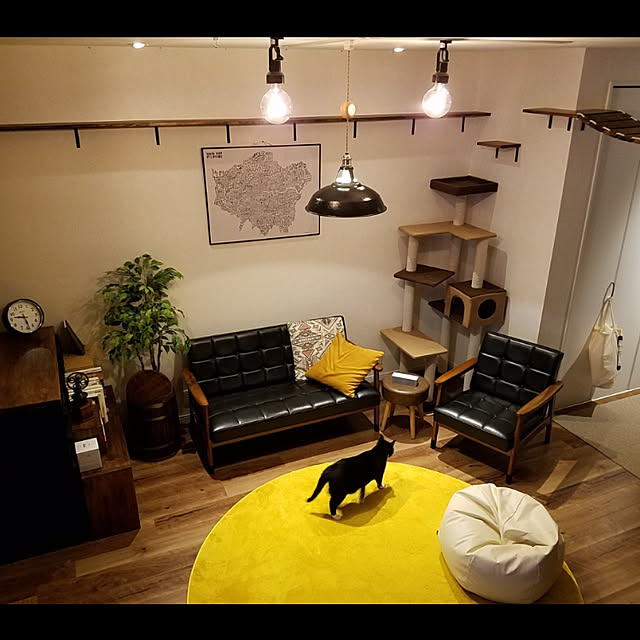 Lounge,カリモク60,猫と暮らす,キャットウォーク,ペンダントライト,niko and…,キャットタワー,フェイクグリーン nekogurumaの部屋