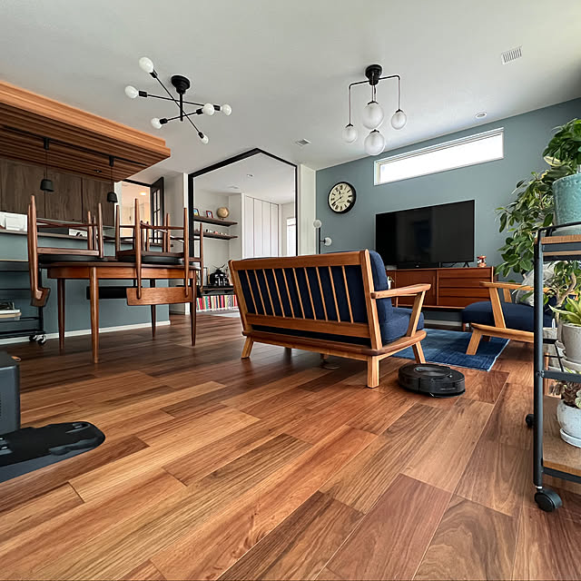 ルンバ,Overview stの部屋