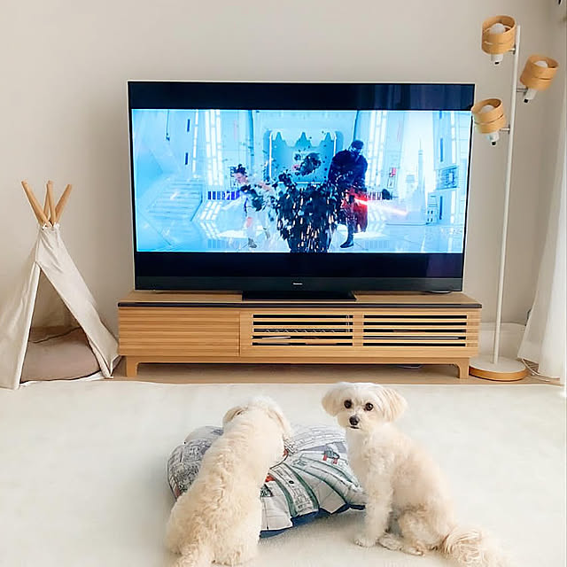 ミレニアムファルコン,スタンドライト,サイドテーブル,コーヒーテーブル,ティピーテント,テレビボード,愛犬と暮らす家,シンプルライフ,北欧,ミックス犬,シンプルな暮らし,IKEA,北欧インテリア,犬のいる暮らし,マンション暮らし,愛犬,マンションインテリア,リビング,多頭飼い,ホワイトインテリア,いぬのきもち,シンプルインテリア,４Kテレビ,65型テレビ,Lounge Naoの部屋