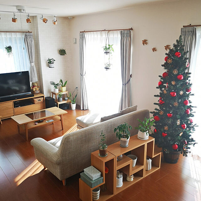 Lounge,クリスマス,すっきり暮らしたい,IKEA,ナチュラルインテリア,北欧,unico,シンプルナチュラル,みどりのある暮らし,建売,観葉植物,ナチュラル,無印良品,クリスマスツリー180cm,フォロー感謝です✨,見て頂きありがとうございます⑅︎◡̈︎* nyancoの部屋