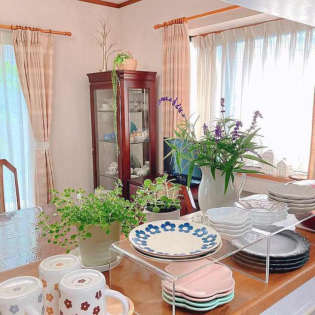 アロマティカス,ピレアディプレッサ,庭の花,アメジストセージ,アクリル コの字棚,無印良品,キッチンカウンター,いつもありがとうございます,Kitchen sophiaの部屋