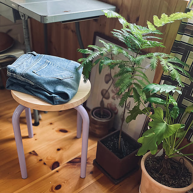 ジーパン,IKEA,スツール,古家具,古雑貨,グリーンのある暮らし,かわいいアイテム coconatsuの部屋