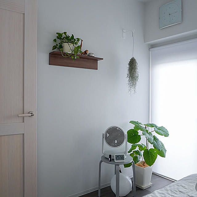 Bedroom,スパニッシュモス,観葉植物のある暮らし,マンションリノベーション,マンション暮らし,ウンベラータ,ポトス,RHYTHM,くらしのリズムを整える,リズムアンバサダー,観葉植物,グリーン Saraの部屋