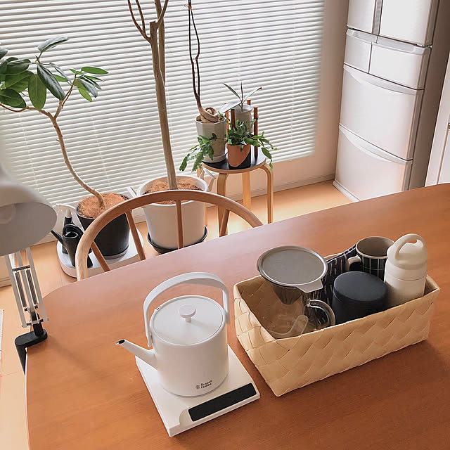 Kitchen,stacksto（スタックストー）,観葉植物,無印良品,グリーン,夏,賃貸アパート,nafco,ラッセルホブスケトル,ニトリ,マリメッコ,KINTO コーヒーカラフェ,コーヒー,KINTO eriの部屋