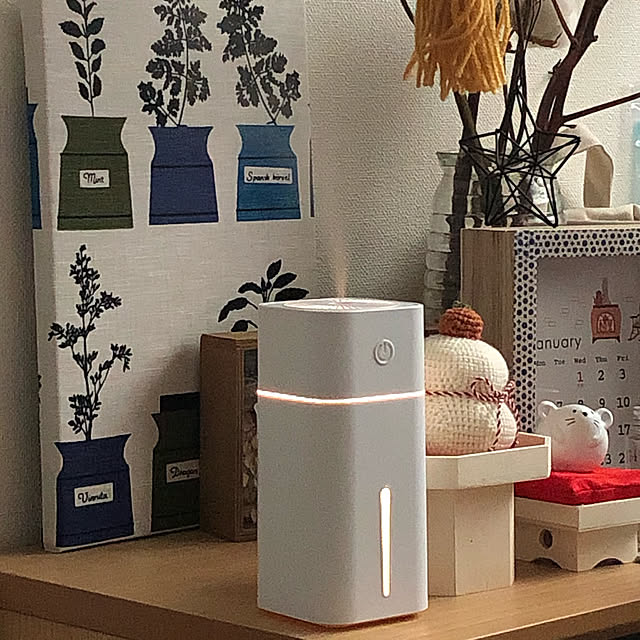 加湿器,DAISO加湿器,2020.1.7☁️のち☔️,ちょっといいもの,ヨーキー&マルチ大好き☆,もっとオシャレにしたい♡,いつも良いねありがとうございます,ペットと暮らす家,Lounge loliontoaliceveの部屋