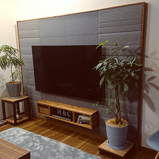 Overview,テレビまわり,一人暮らし,猫と暮らす。,ねこのいる日常,エコカラットDIY,壁掛けテレビDIY,テレビボードDIY,有機ELテレビ taka-kiの部屋