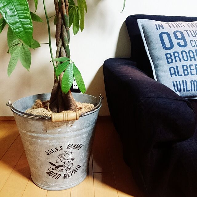 My Shelf,サリュ！,ステンシル,観葉植物,ブリキバケツ Tomokaの部屋