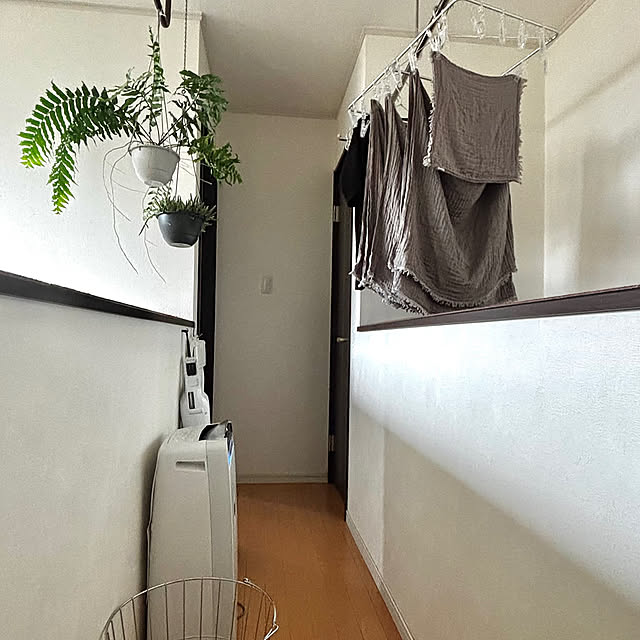 On Walls,ホスクリーン,部屋干しスペース,夏の暮らし準備 greycatsの部屋