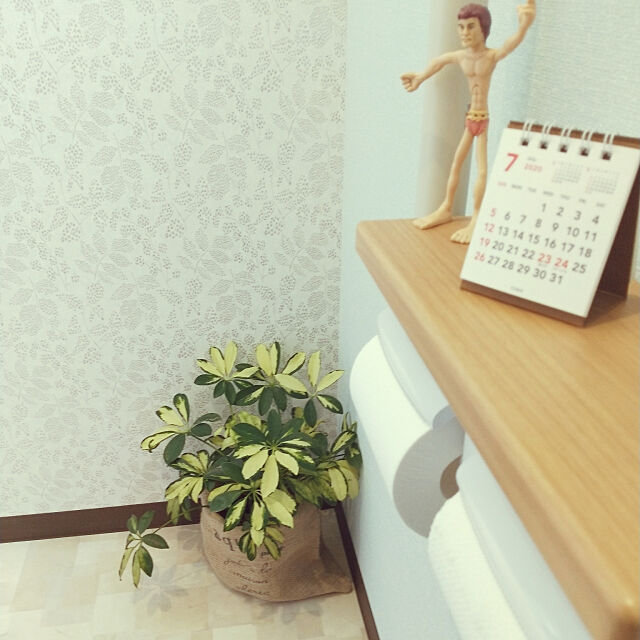 Bathroom,北欧,トイレ,TOTO,カレンダー,沖縄,カポック,イエローカポック Naomiの部屋