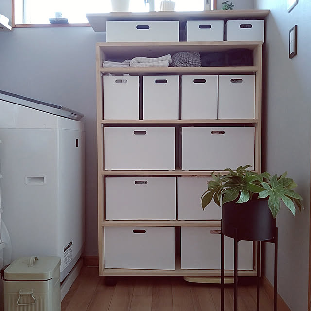 Bathroom,ニトリ,洗面所DIY,ROOMBLOOM,壁ペンキで塗り塗り,Ｎインボックス,KLちゃんプランターGETしたよ！,ヤツデ　スパイダーウェブ,スイッチカバーは100均,スチールプランターハイスタンド chocoの部屋