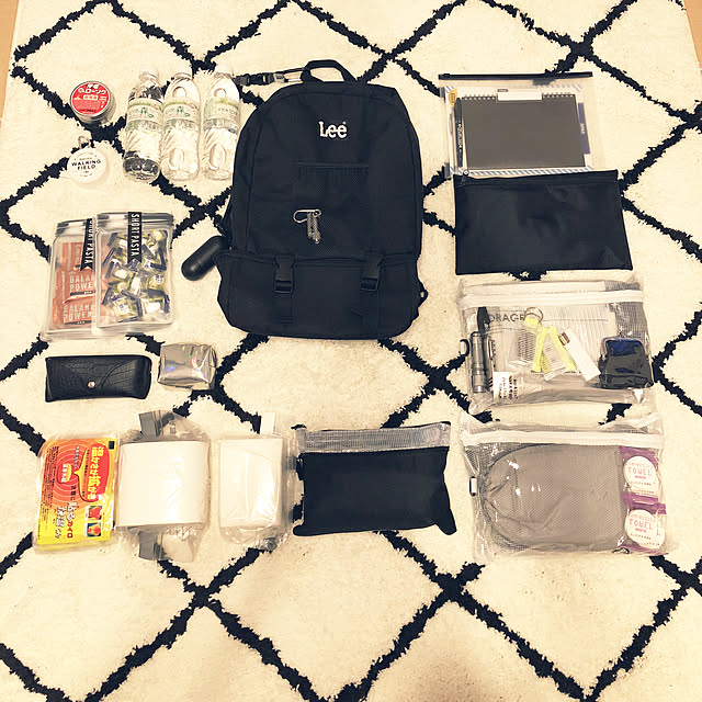 Entrance,安全対策,賃貸でも諦めない！,防災用品,100均,イベント参加中,一人暮らし,セリア,1K,モノトーン,海外インテリアに憧れる,プチプラインテリア,IKEA,連投すみません,ダイソー,3CIONS ixumiの部屋