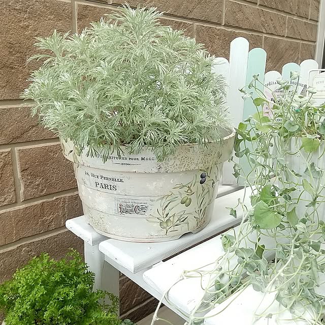 On Walls,ハンドメイド,ダイソー,100均,セリア,植木鉢,ペイント,デコパージュ,すのこリメイク,ペーパーナプキン,デコパージュペーパー,ミルクペイント,モルタルコンクリート風ペイント,ガーデン雑貨,アサヒペイント,オリーブ柄,アサギリソウ,ディコンドラ,レンガ調外壁,グリーンのある暮らし,イケア,ヴァッテンクラッセ,ワッツ meiの部屋