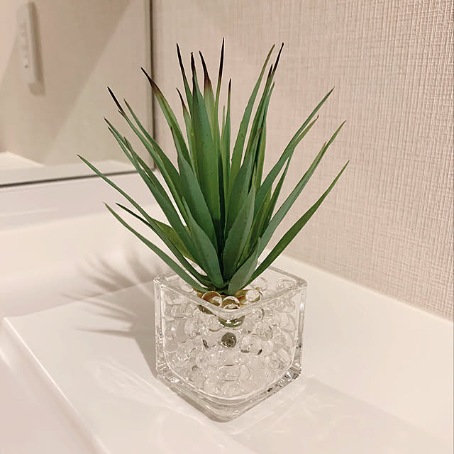 消臭ビーズ,ダイソー,セリア,フェイクグリーン,観葉植物,Bathroom reitaの部屋