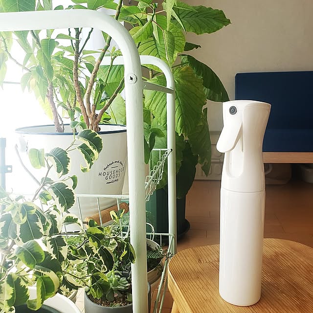 Lounge,100均,seria,ミストスプレーボトル,植物のある暮らし wanidaの部屋