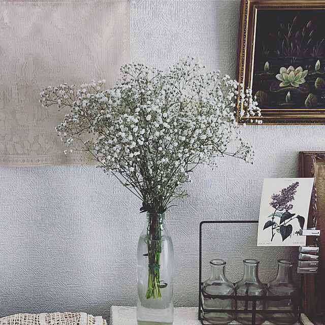 My Shelf,花のある暮らし,雑貨,ナチュラル,アートのある暮らし menocoの部屋