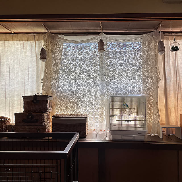 Lounge,レースカーテン,レースのある暮らし,節電,ナチュラル,ディスプレイ,カフェ風,お気に入り,ナチュラルインテリア,カフェ風インテリア,ナチュラル素材,いいね！ありがとうございます♪,おうち時間,無言フォロー＆いいねすいません,インテリア好きな人と繋がりたい,癒しセット,カフェ気分☕,癒しスペース,季節を楽しむ暮らし hanaの部屋