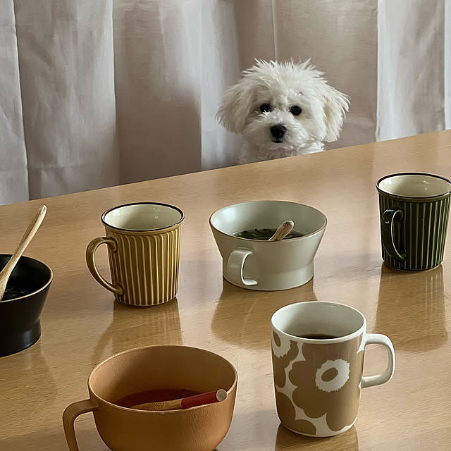 ビジョンフリーゼ,ゴールデンウィーク,if homeシリーズ,東京インテリア,器,Kitchen yukarimamaの部屋